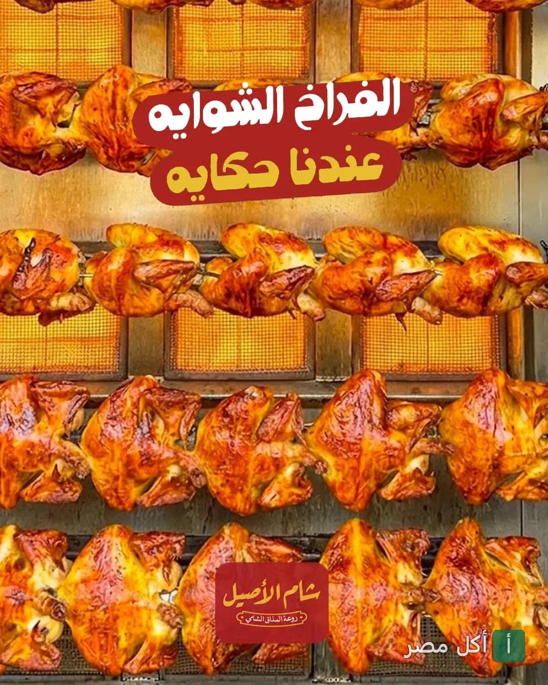 دجاج مشوي على الشواية في مطعم شام الاصيل بطنطا.