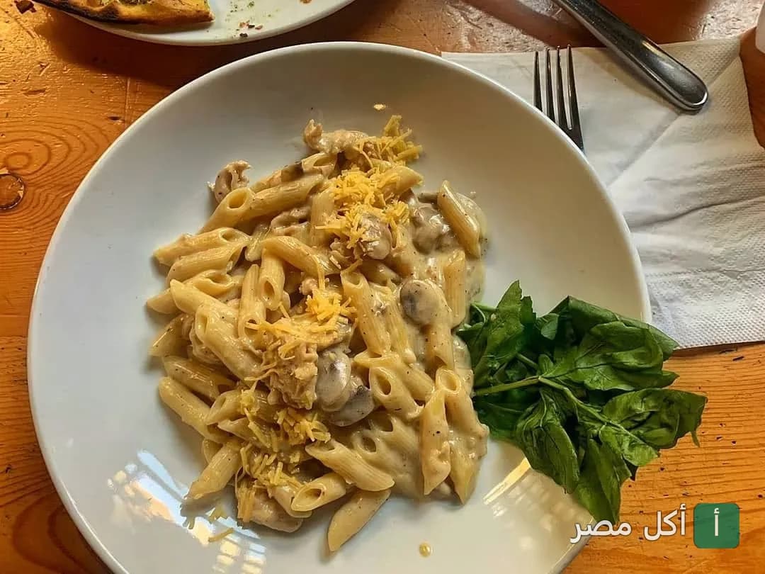 طبق مكرونة بيني بصوص الكريمة والمشروم في مطعم عيش + ملح بالقاهرة.