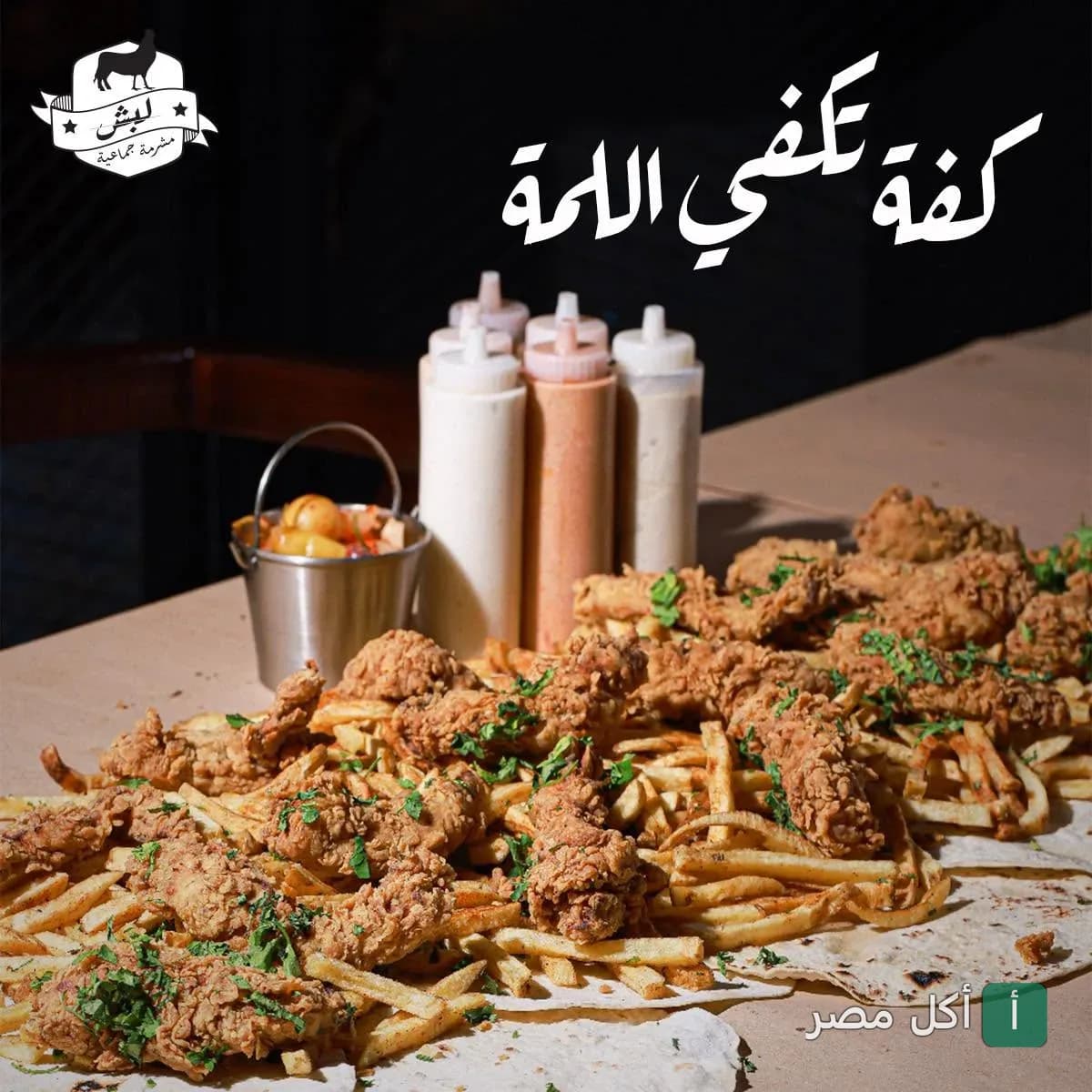 وجبة دجاج مقلي مع بطاطس مقلية على خبز في مطعم لبش بمارينا العلمين.