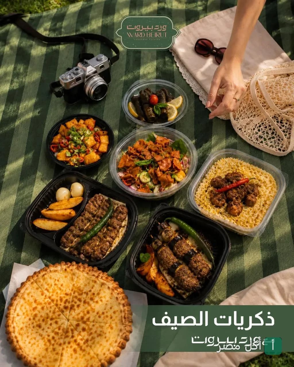 مجموعة متنوعة من أطباق ورد بيروت في نزهة خارجية بمارينا العلمين، تشمل المشويات والمقبلات.