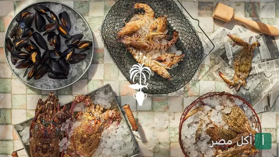 تشكيلة مأكولات بحرية طازجة على الثلج في مطعم ستانلي بمارينا العلمين.