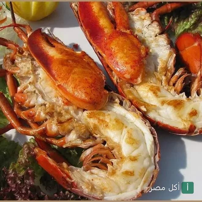طبق استاكوزا مشوية مقدم في مطعم شارك دهب