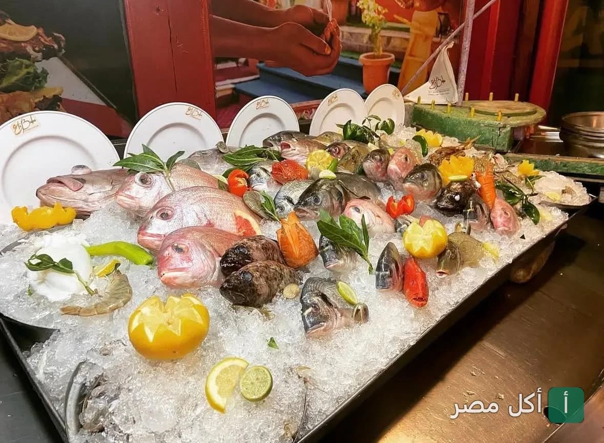 عرض طازج لمجموعة متنوعة من الأسماك والمأكولات البحرية على الثلج في مطعم علي بابا بدهب.