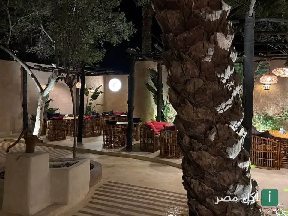جلسات خارجية مريحة في مطعم وكافيه شانتي جاردن بدهب ليلاً مع إضاءة هادئة وأشجار النخيل.