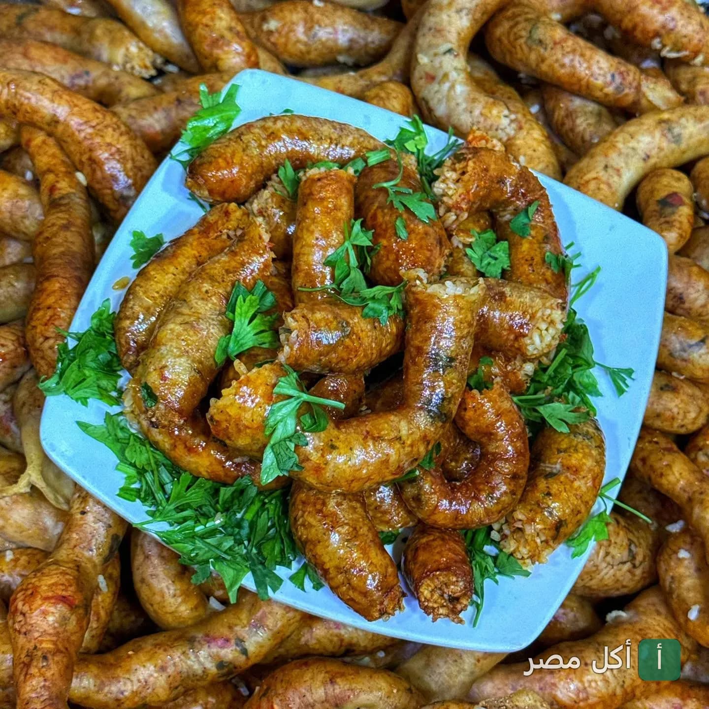 طبق ممبار محمر ومزين بالبقدونس في مطعم المدينة بالأزبكية.