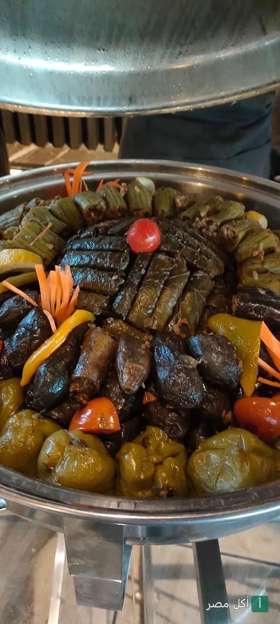 طبق محاشي مشكل من ورق العنب والباذنجان والفلفل في مطعم لاتينو بالإسكندرية.
