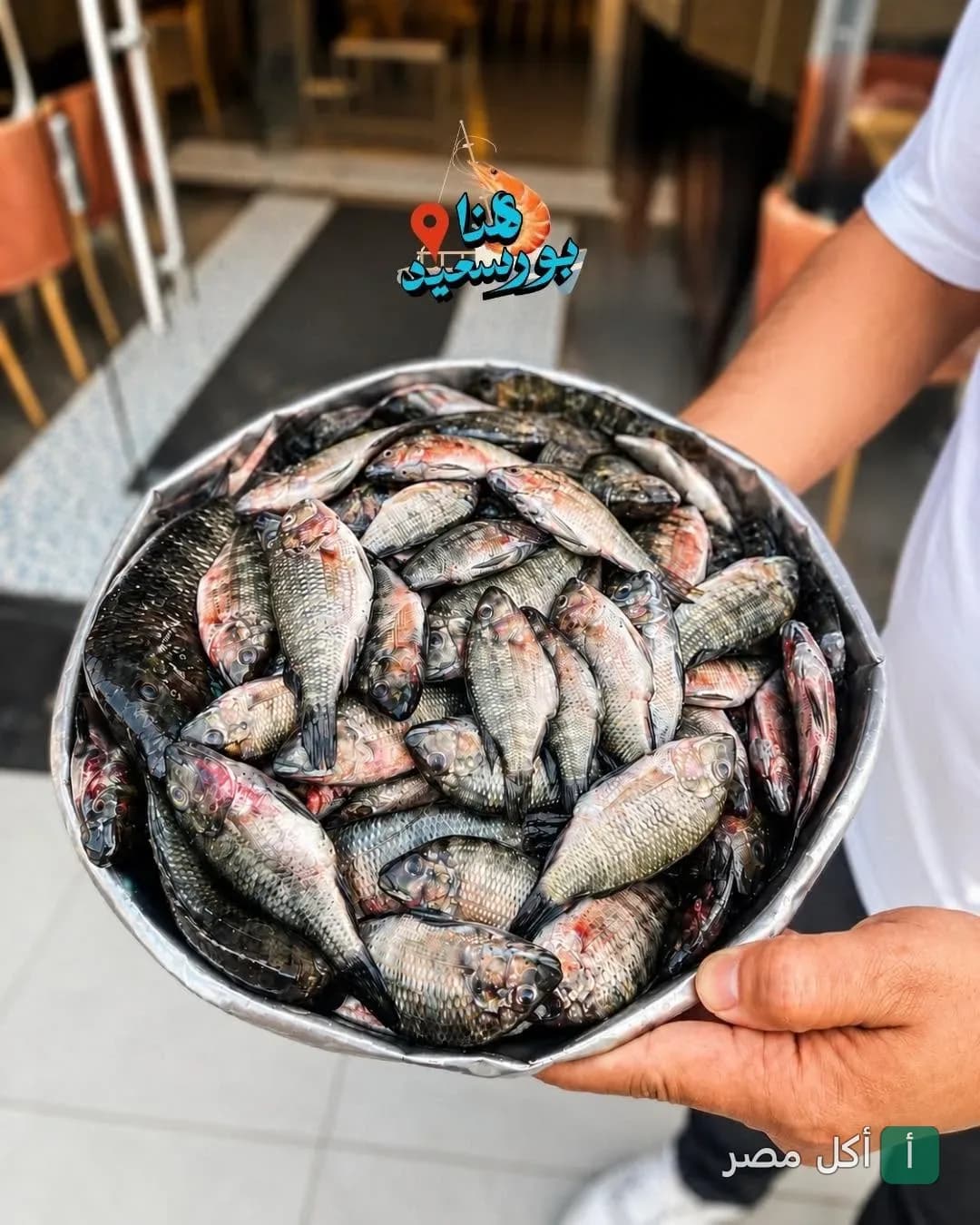 طبق كبير مليء بالأسماك الطازجة في مطعم fish_غلك للمأكولات البحرية بالبساتين.