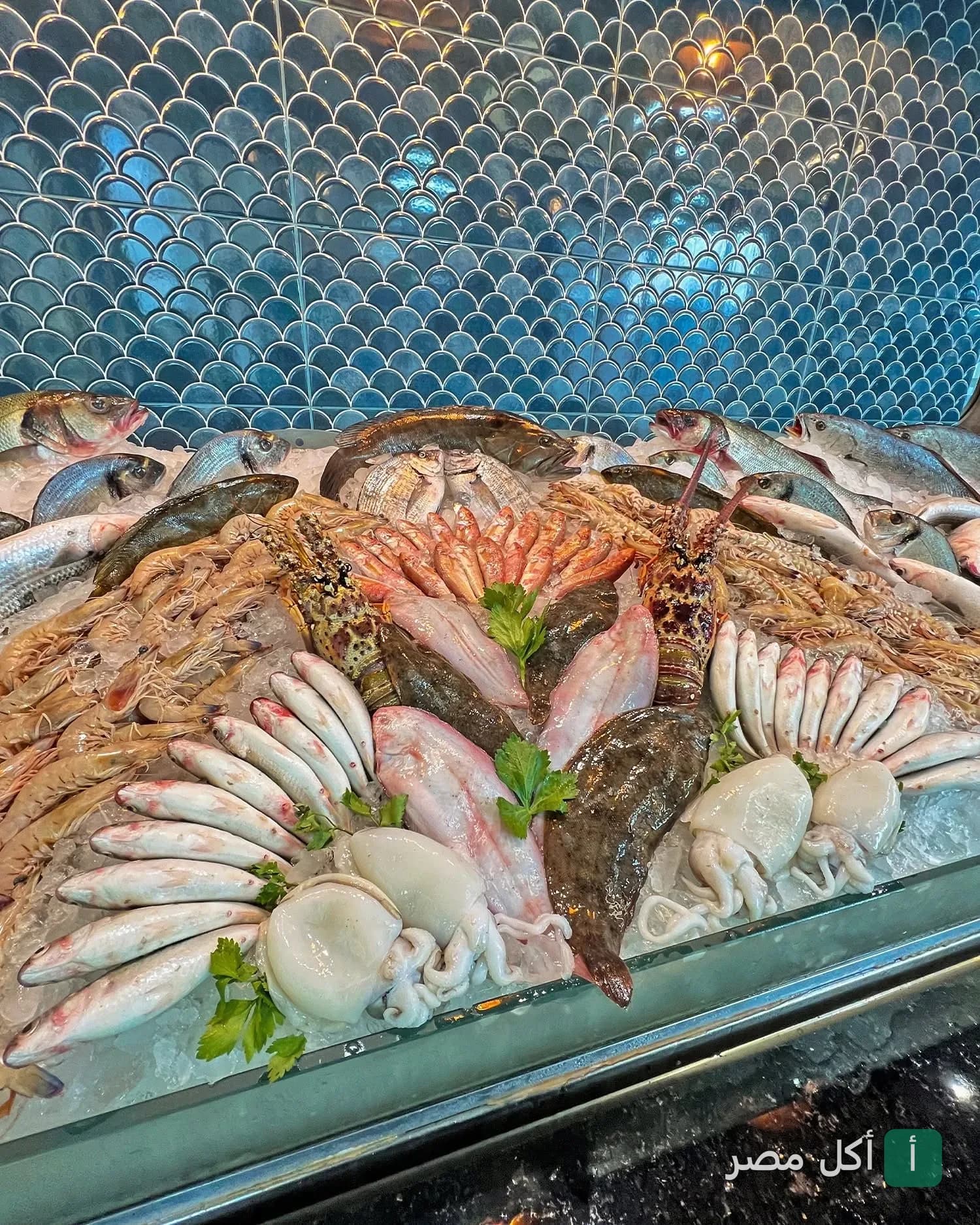 عرض متنوع من الأسماك الطازجة والجمبري والكابوريا على الثلج في مطعم fish_غلك بالبساتين.