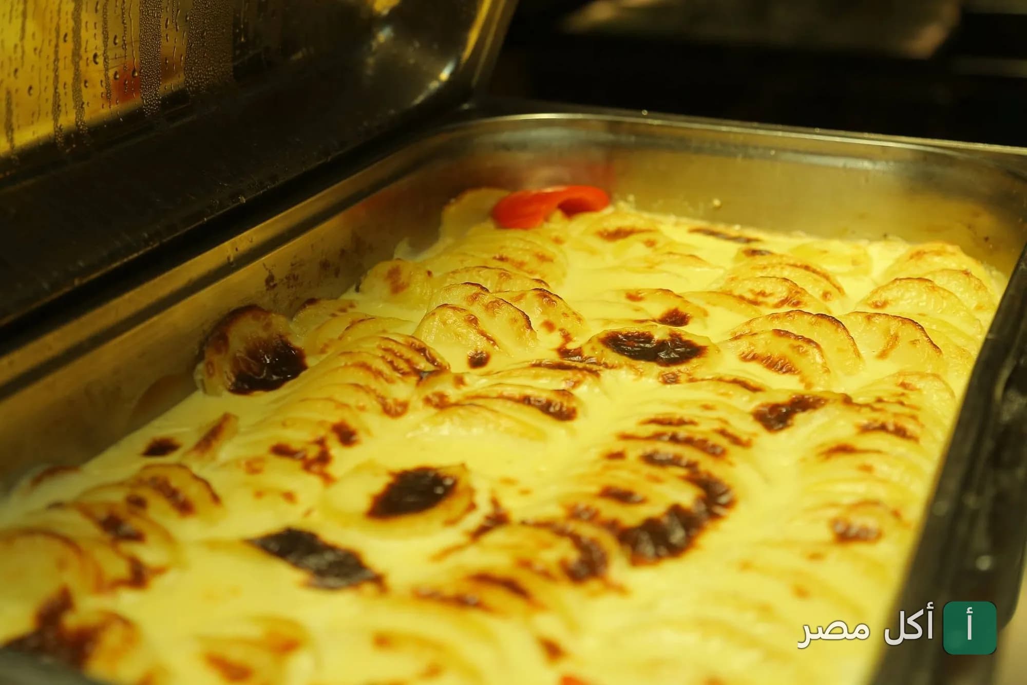 صينية بطاطس بالبشاميل في بوفيه مطعم نايل فاروز كروزنج ريستورانت العائم بالجيزة.
