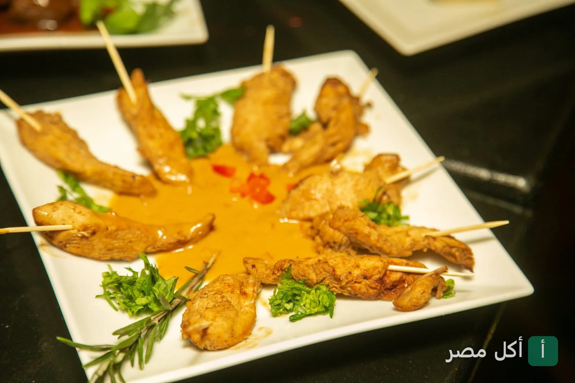 طبق شيش طاووق أو دجاج مشوي على أعواد خشبية مع صوص في مطعم نايل فاروز كروزنج بالجيزة