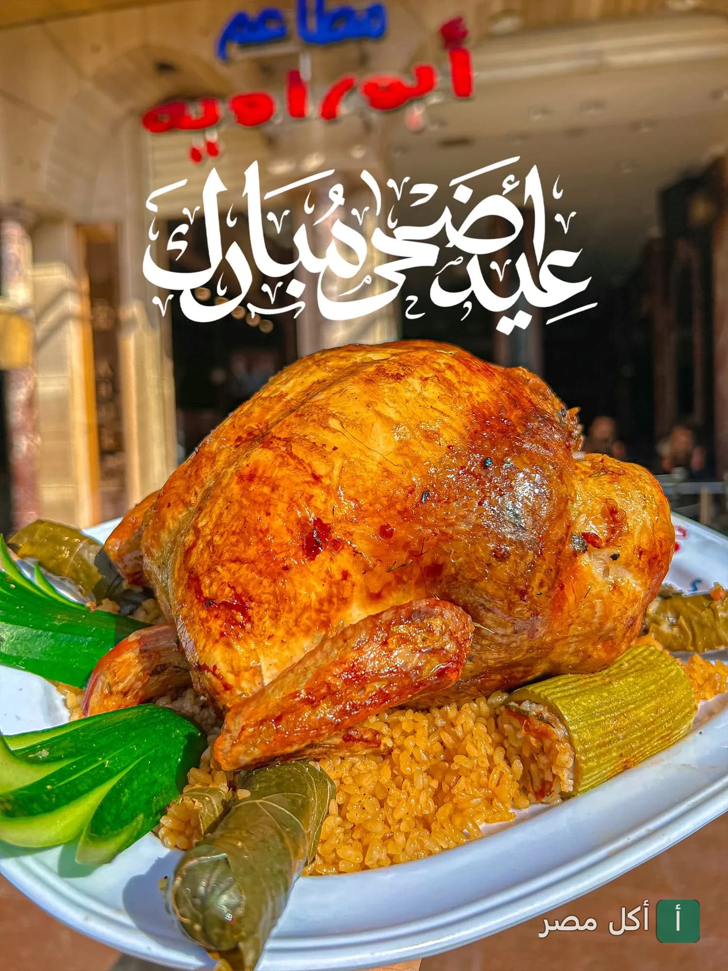 طبق دجاج مشوي مع محشي ورق عنب وكوسة من مطعم أبو راوية للمشويات بالدخيلة، الإسكندرية.