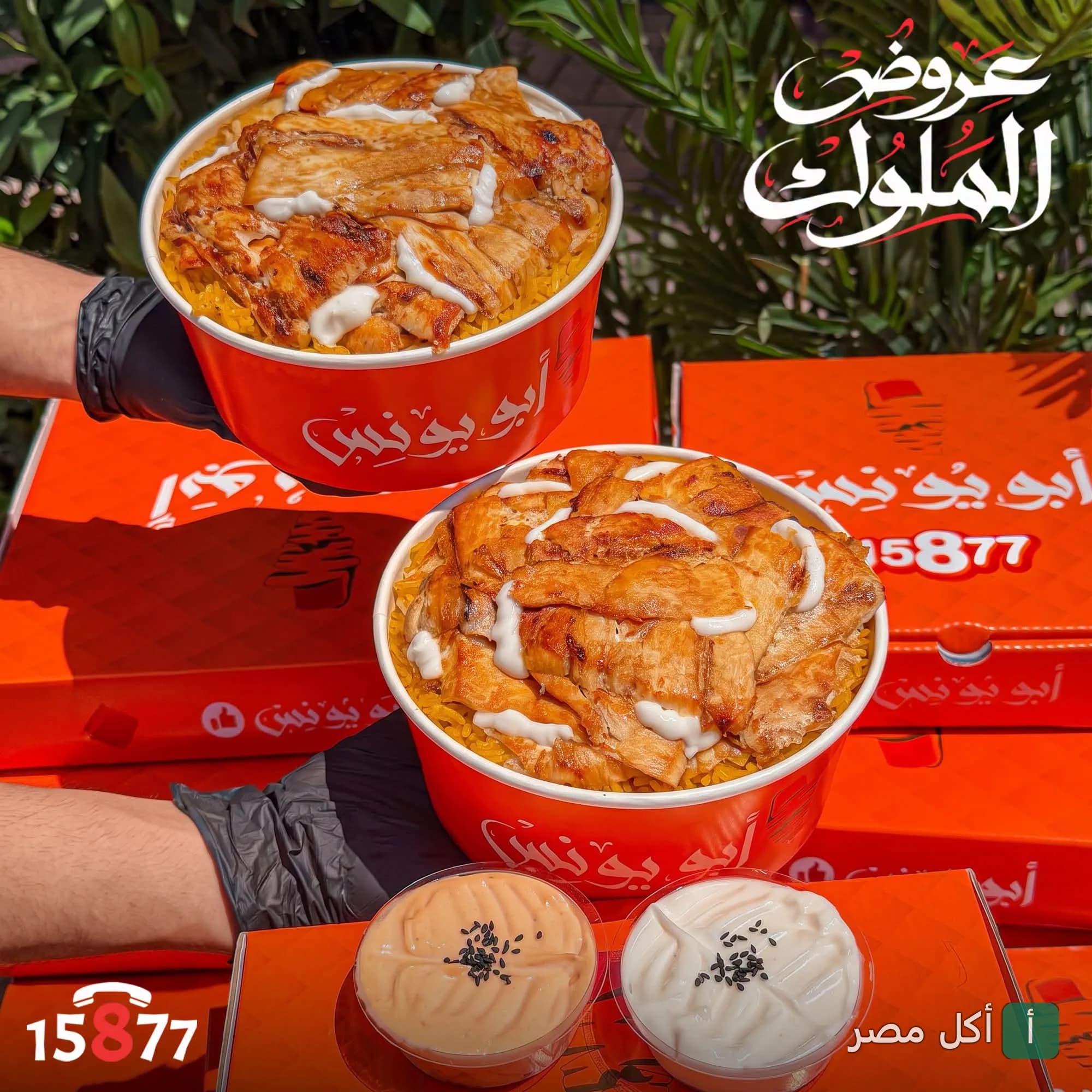 وجبات شاورما دجاج مع أرز في علب مطعم أبو يونس بالبيطاش، الدخيلة.