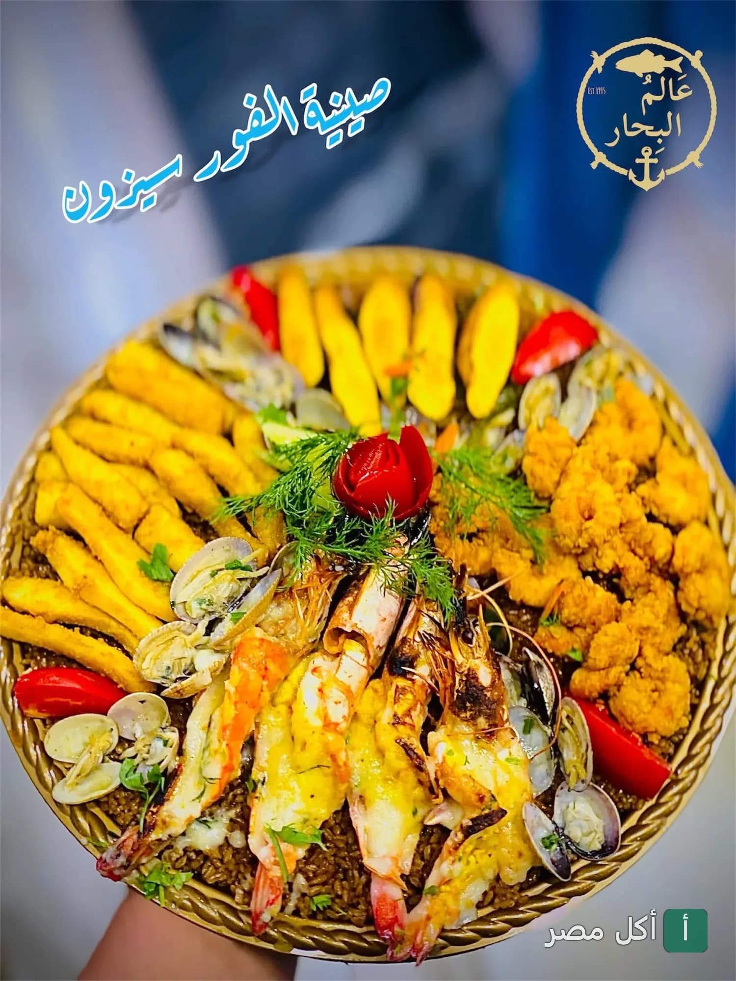 صينية فور سيزون من مطعم عالم البحار في بور فؤاد، تحتوي على جمبري، كابوريا، ومأكولات بحرية متنوعة.