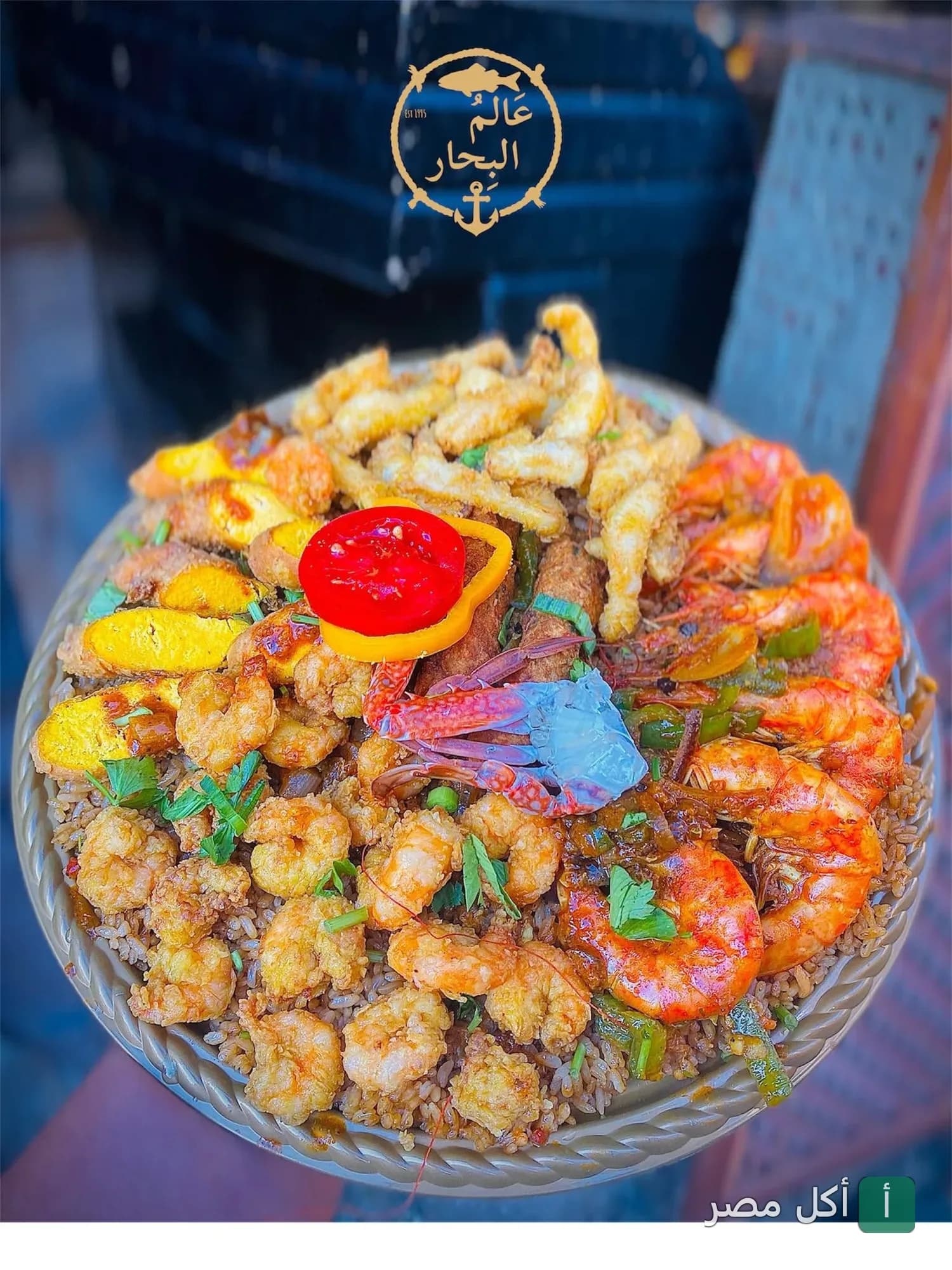 طبق أرز صيادية متنوع بالمأكولات البحرية والجمبري من مطعم عالم البحار في بور فؤاد.