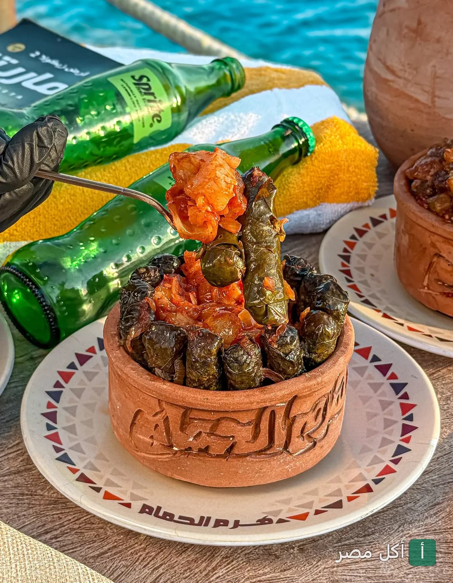 طاجن ورق عنب في مطعم هرم الحمام للمشويات بسيدي جابر