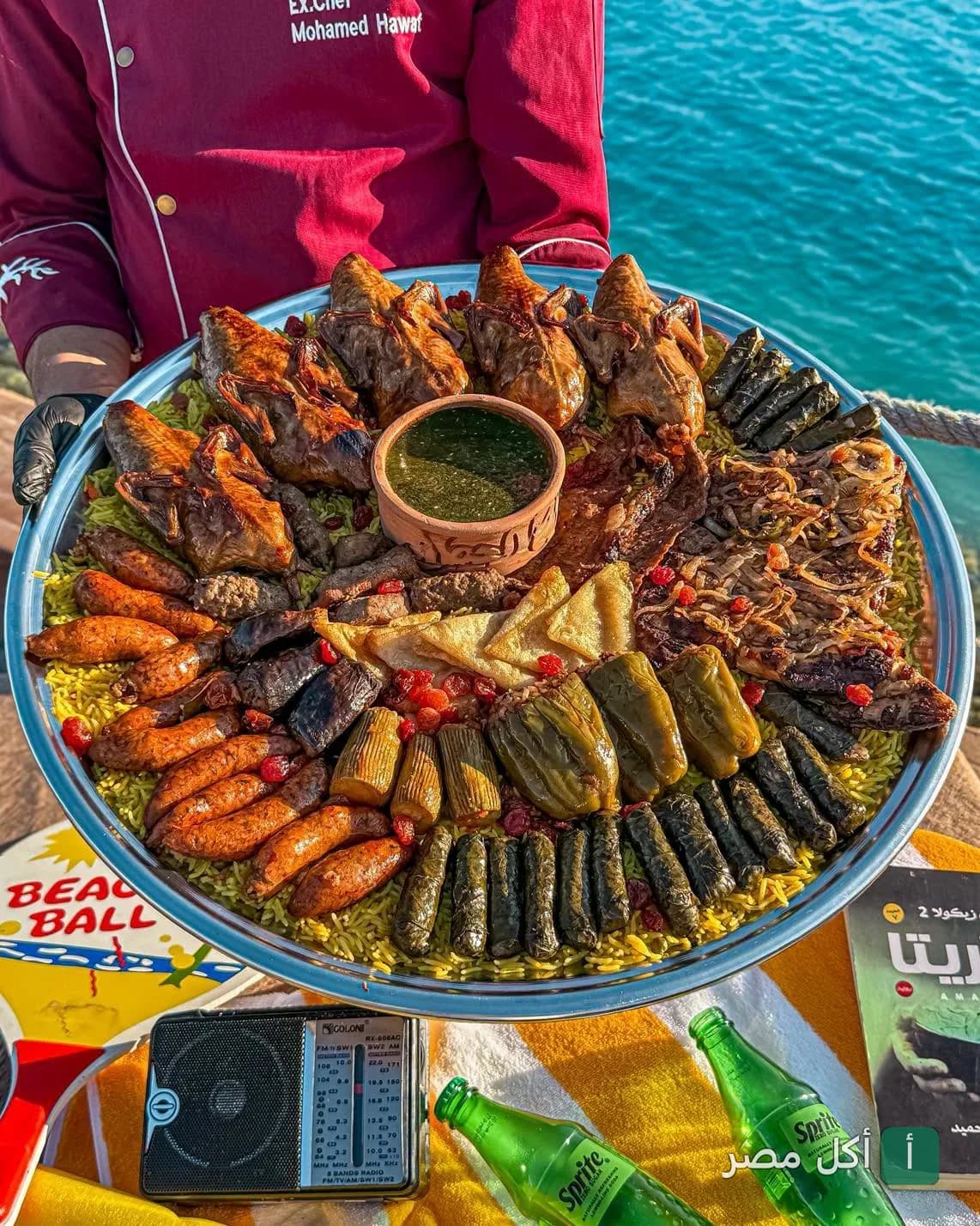 صينية مشاوي مشكلة من مطعم هرم الحمام تضم حمام محشي ومحاشي ومشويات متنوعة على خلفية بحرية.