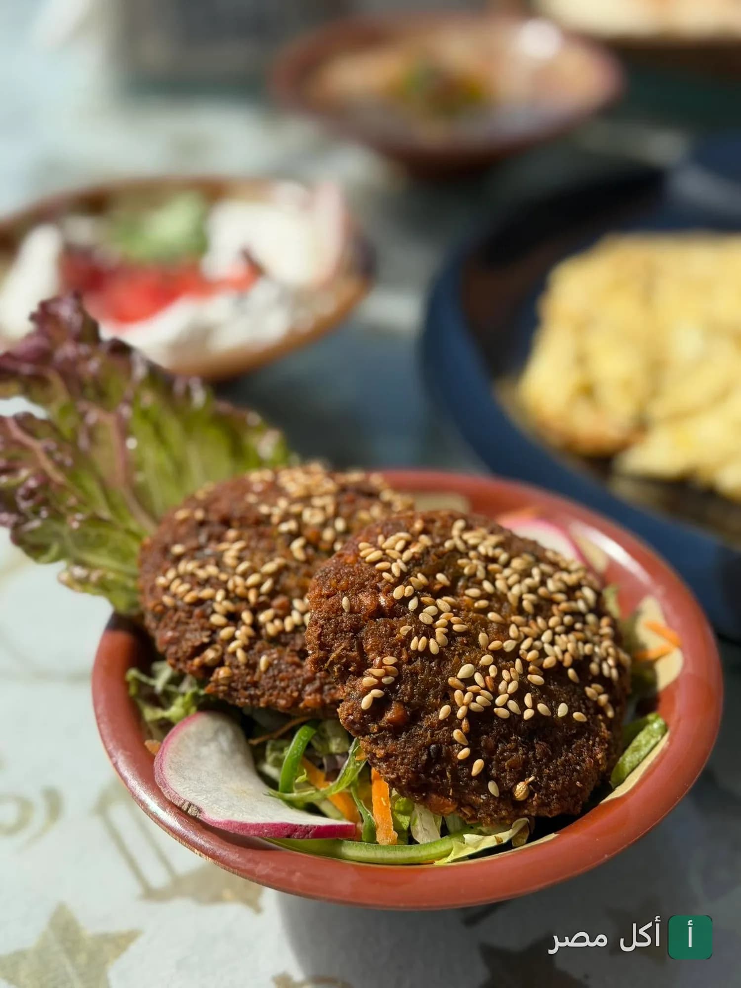 طبق طعمية مقلية بالسمسم مع سلطة خضراء في مطعم وودز بسيدي جابر