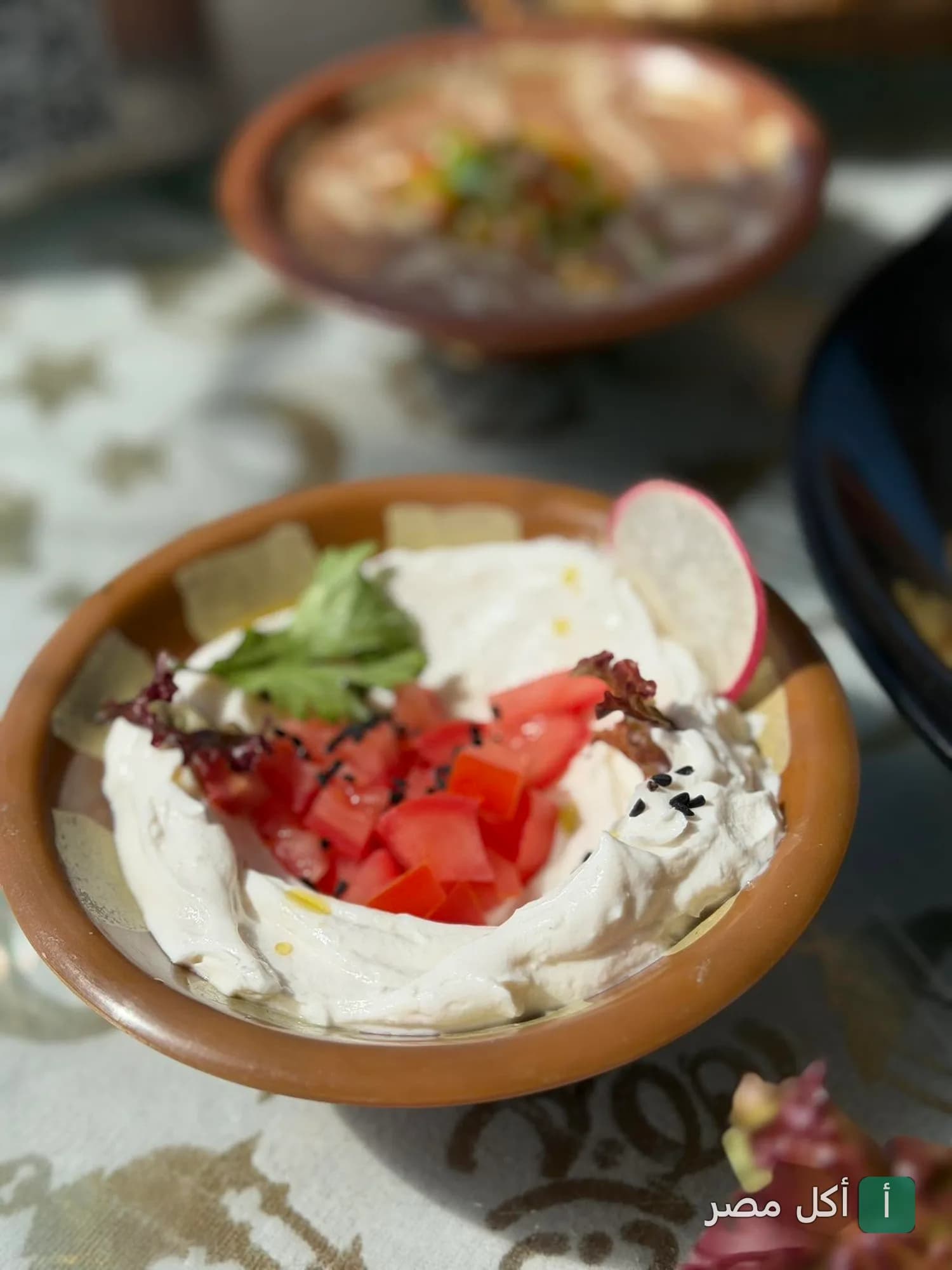طبق لبنة مزين بالطماطم والفجل في مطعم وودز بسيدي جابر