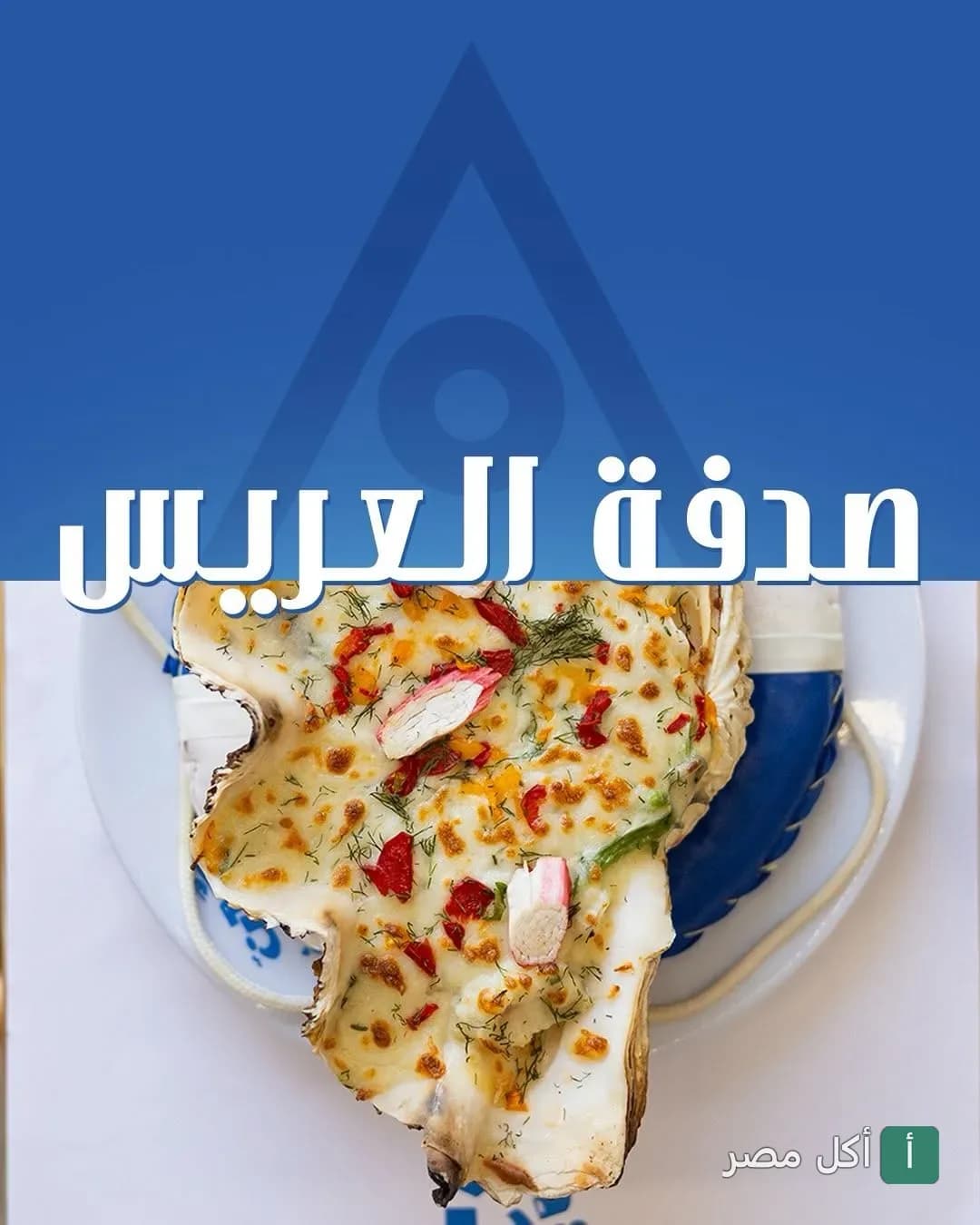 طبق صدفة العريس بجبنة ومأكولات بحرية في مطعم دكان سمك بسيدي جابر
