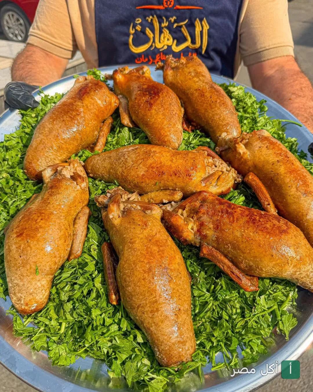 طبق حمام محشي يقدمه مطعم الدهان في العجوزة بالجيزة.