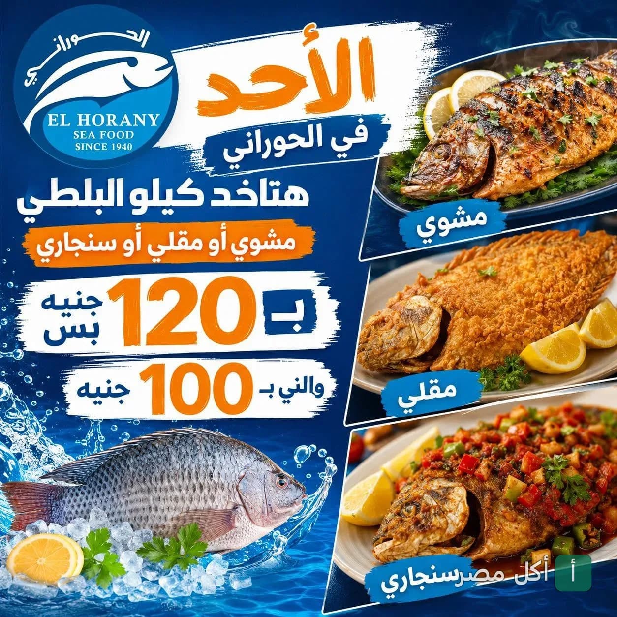 عرض مطعم أسماك الحوراني في الجيزة على كيلو السمك البلطي مشوي أو مقلي أو سنجاري.