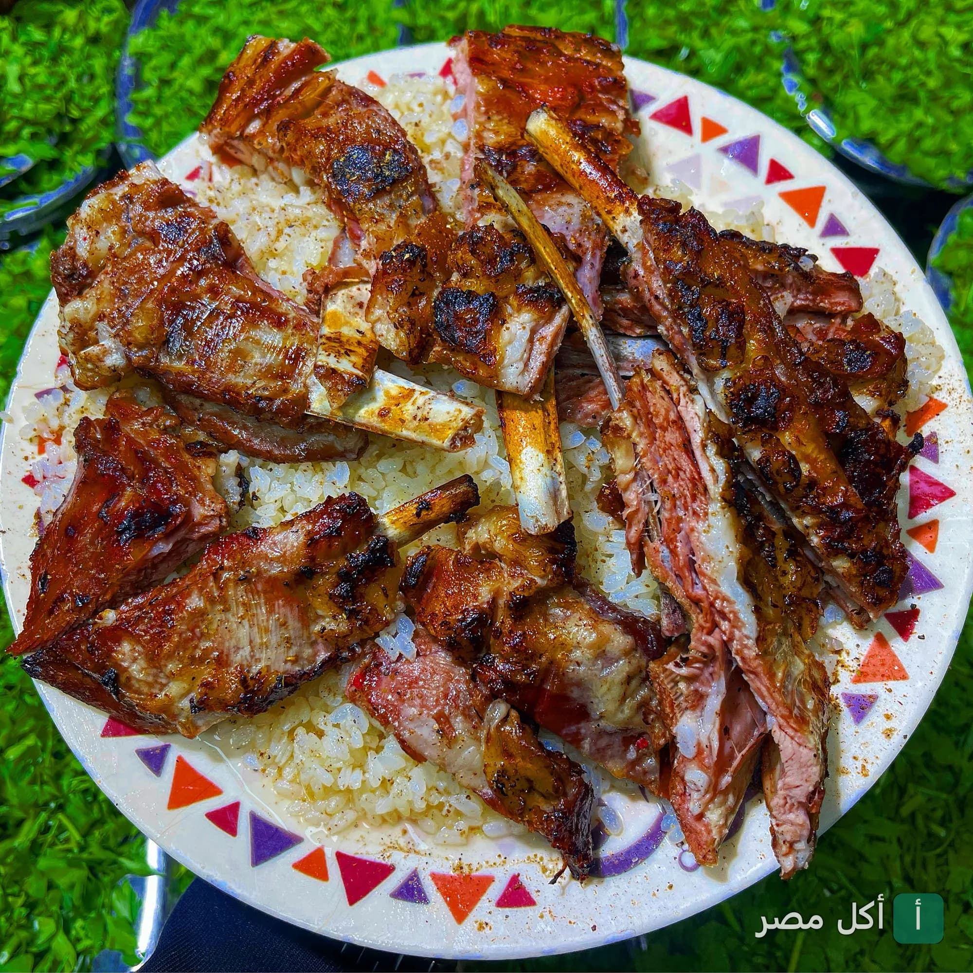 طبق ريش ضاني مشوية على الأرز في مطعم حجوجة بالإسكندرية.