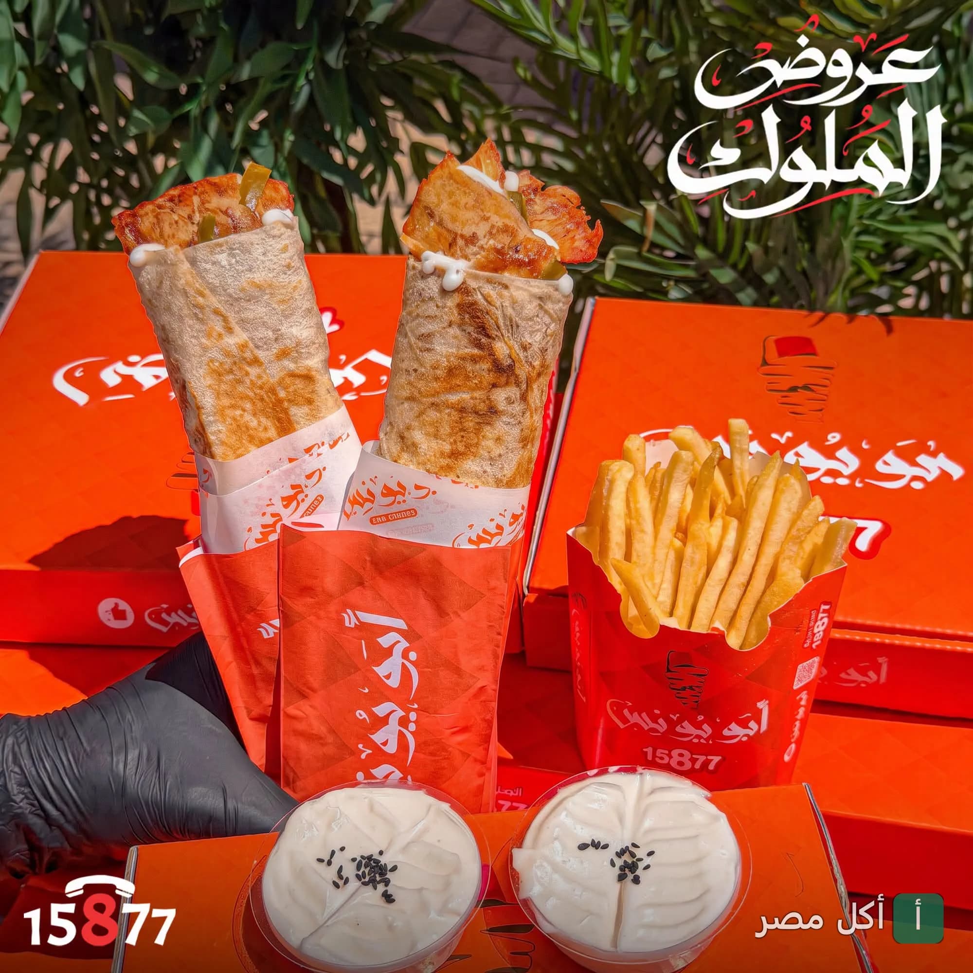 ساندوتشات شاورما سوري مع بطاطس مقلية وصوص ثومية من مطعم أبو يونس في الدخيلة.