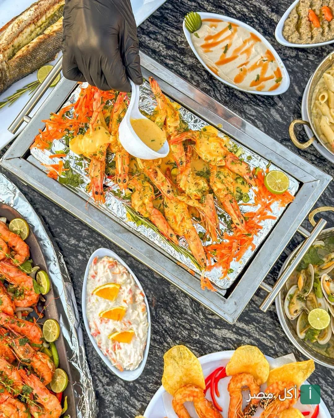 طبق جمبري مشوي بصوص خاص يتم تقديمه في مطعم أسماك المرشدي بالعلمين، الساحل الشمالي.