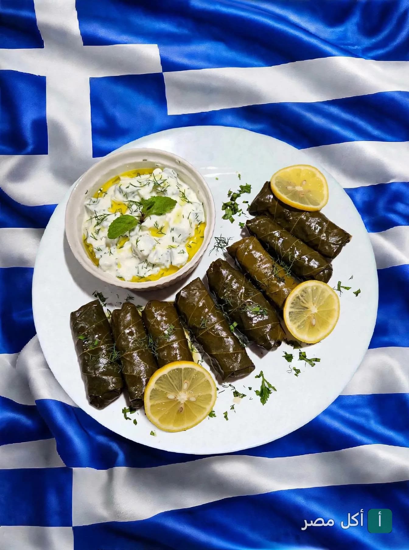 طبق ورق عنب مع صوص الزبادي والليمون في مطعم النادي اليوناني بالقاهرة.