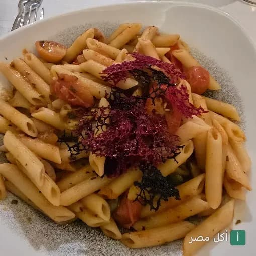 طبق مكرونة بيني بالطماطم في مطعم ومشويات ذا بلو بقصر النيل