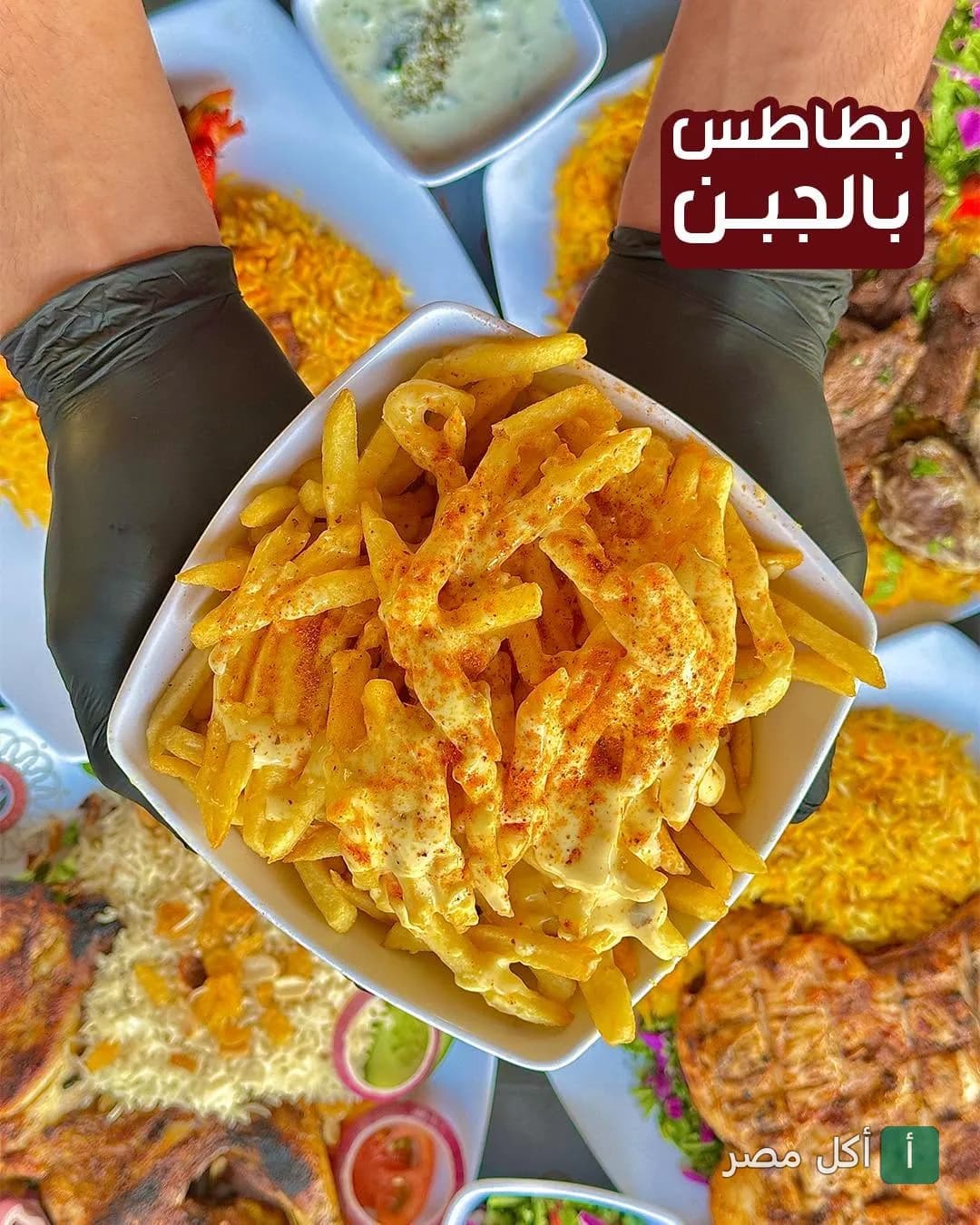 طبق بطاطس مقلية بالجبنة يقدمه مطعم أرض الحضارة في المنيل الغربي بالقاهرة.
