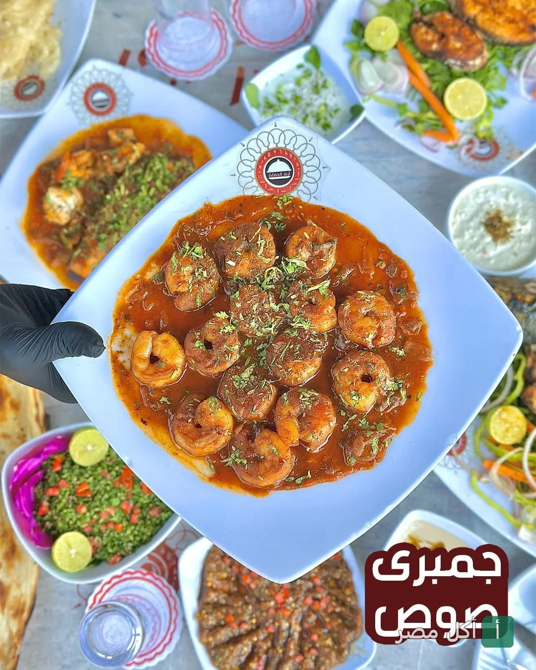 طبق جمبري بصوص أحمر يقدمه مطعم أرض الحضارة في المنيل الغربي بالقاهرة.