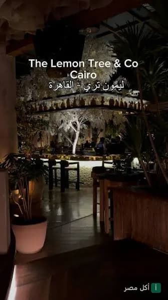 جلسة خارجية مضيئة في مطعم ليمون تري آند كو بالقاهرة مع ديكور شجري.