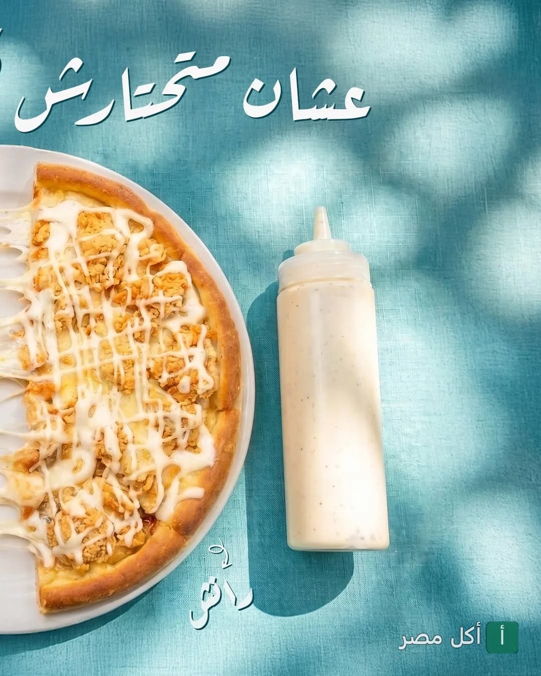 بيتزا دجاج بصوص أبيض في مطعم بروكار الدمشقي بالقاهرة.