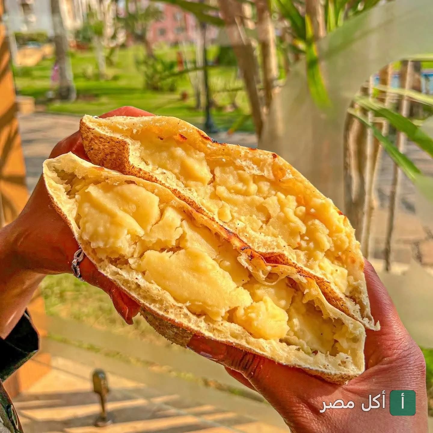 ساندوتش بطاطس مهروسة في خبز بلدي من مطعم أرابياتا شبراوي