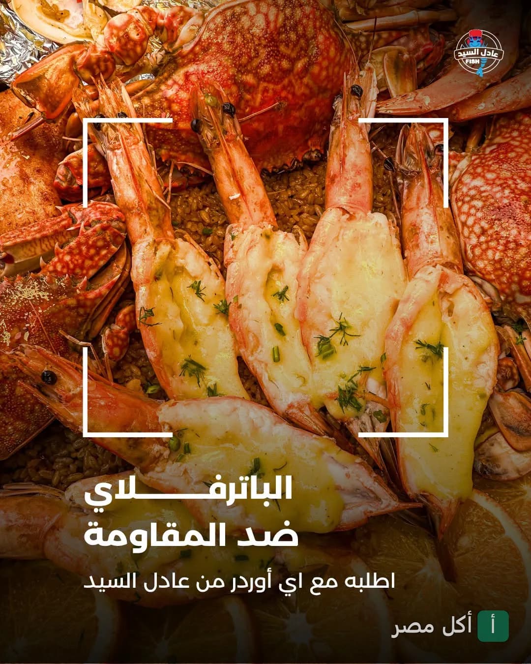 طبق جمبري بتر فلاي مشوي مع كابوريا من مطعم أسماك عادل السيد بالعجوزة.