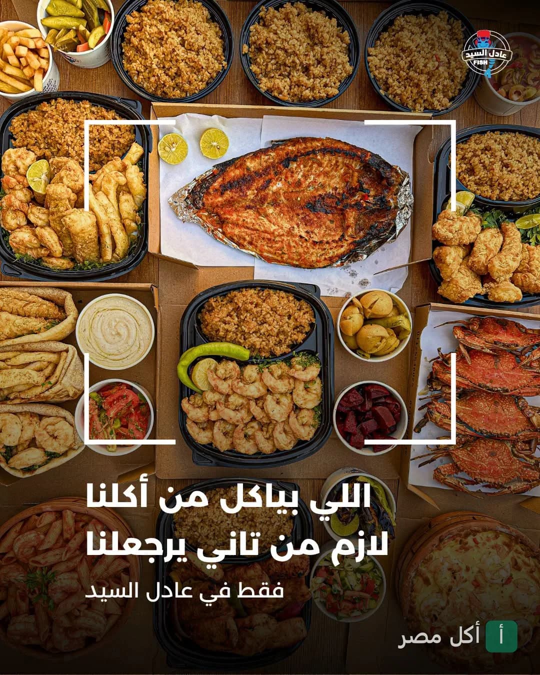 صورة من المعرض لـ أسماك عادل السيد — مشاوي، شارع السودان