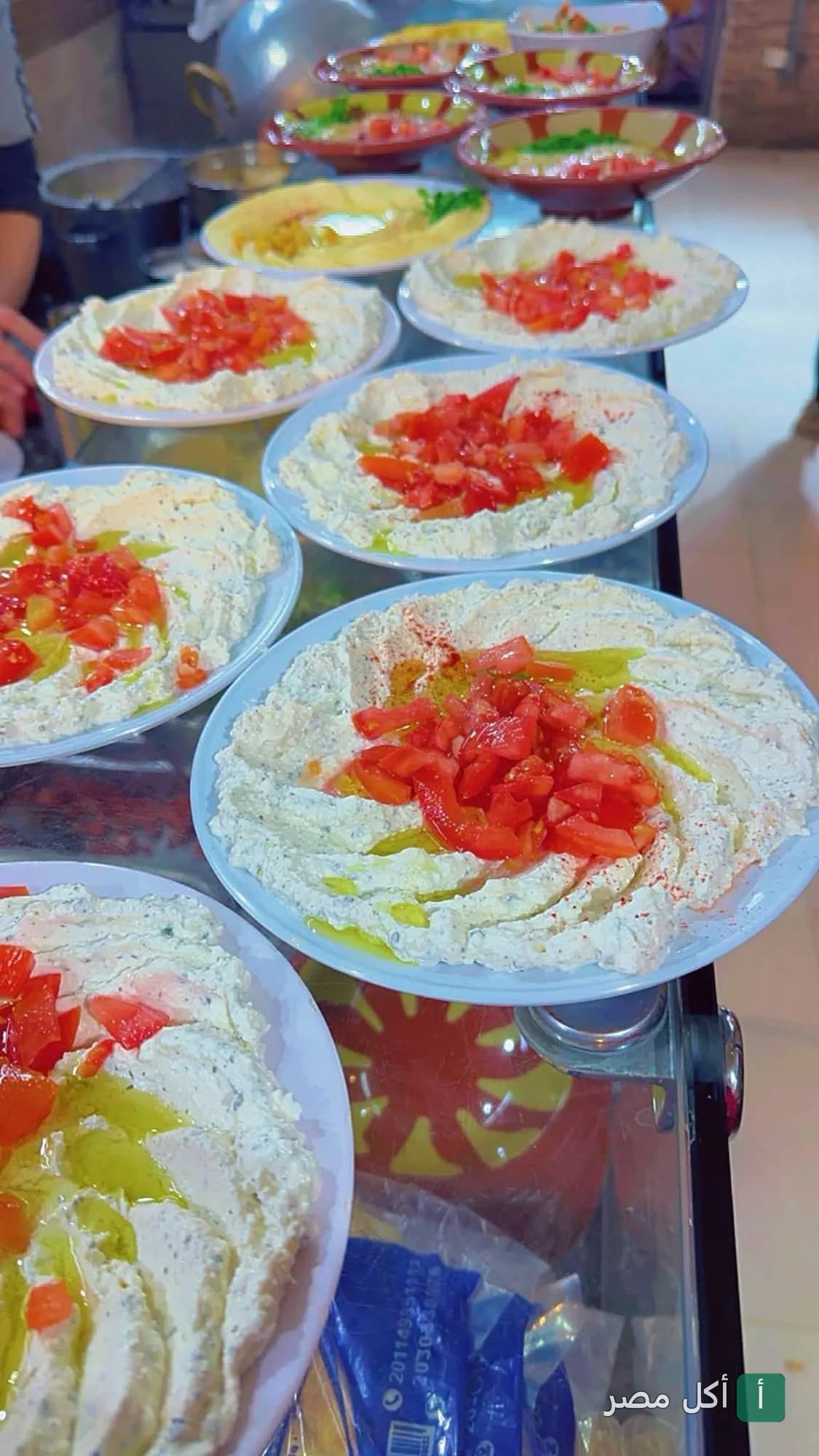 أطباق لبنة ومقبلات شرقية مزينة بقطع الطماطم وزيت الزيتون في مطعم الشعلان بـ 6 أكتوبر.