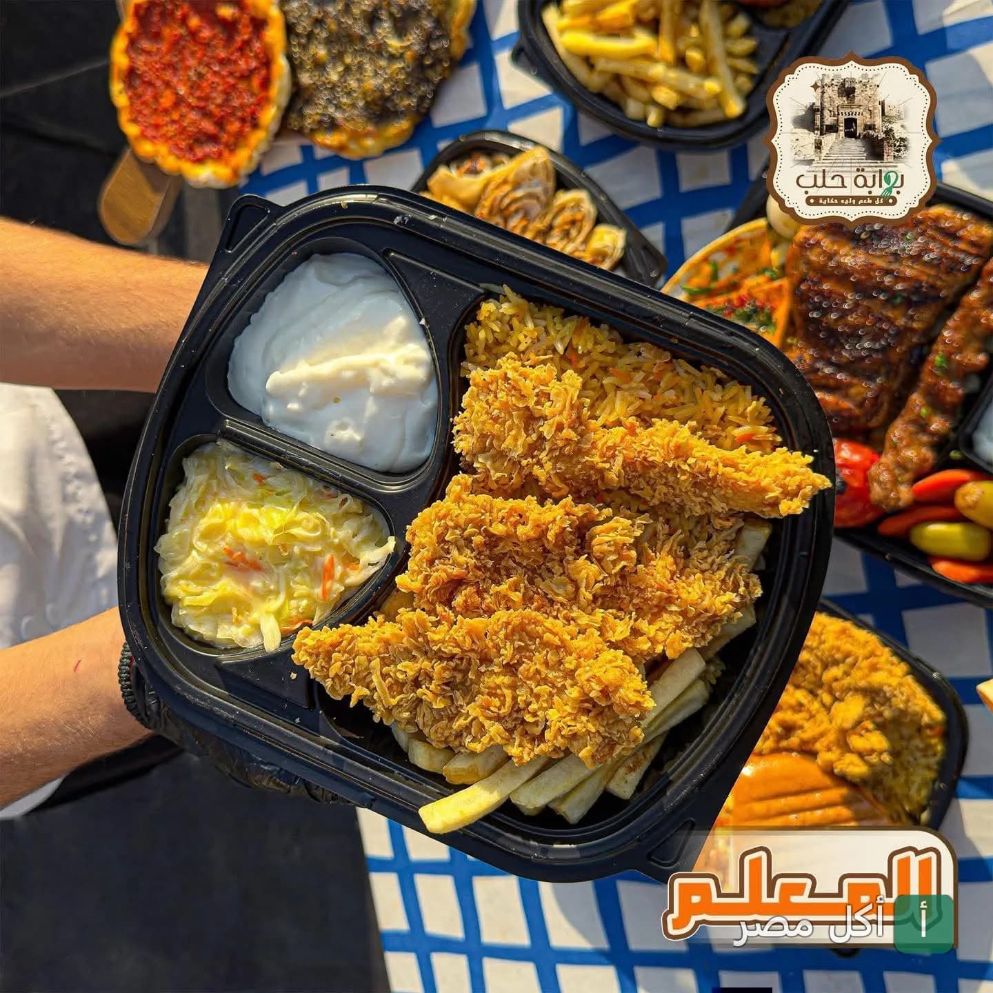 وجبة دجاج مقرمش مع أرز وسلطة كول سلو من مطعم بوابة حلب في 6 أكتوبر