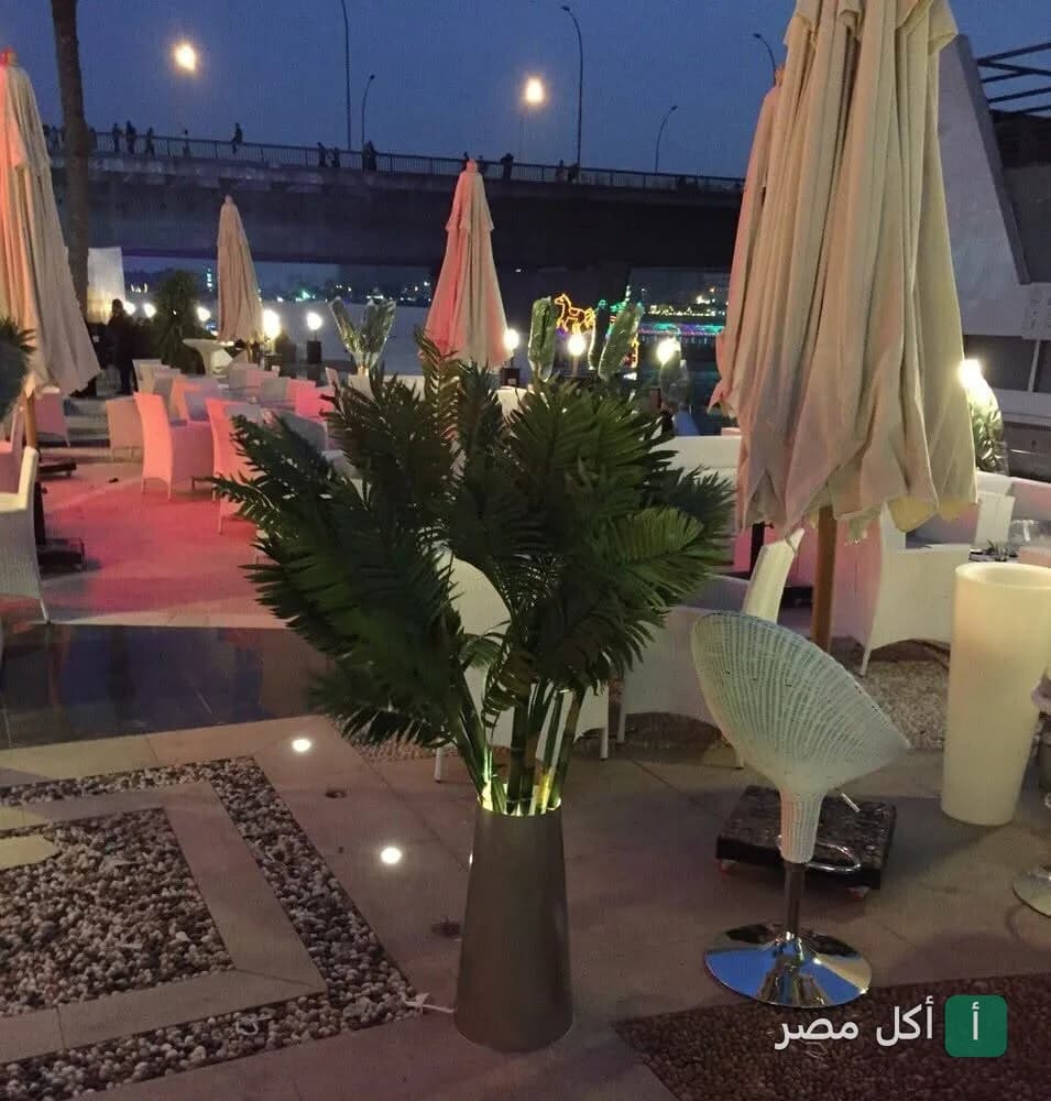 جلسة خارجية مسائية في مطعم كارباتشيو بمدينة 6 أكتوبر مع إضاءة هادئة ونباتات زينة.