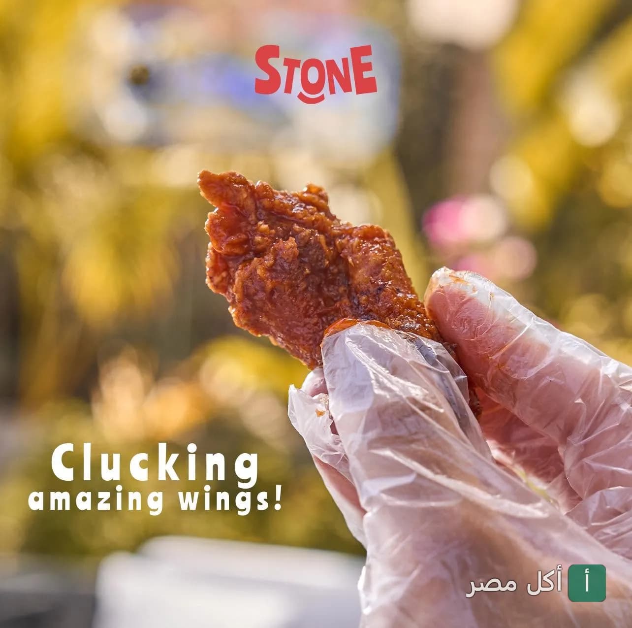 يد ترتدي قفاز بلاستيكي تمسك قطعة دجاج مقلية بصوص أحمر من مطعم ستون كوربا.