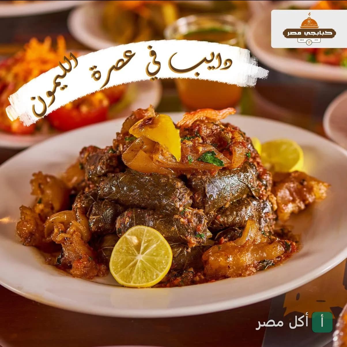 طبق ورق عنب مع قطع لحم وليمون من مطعم كبابجي مصر في مصر الجديدة.
