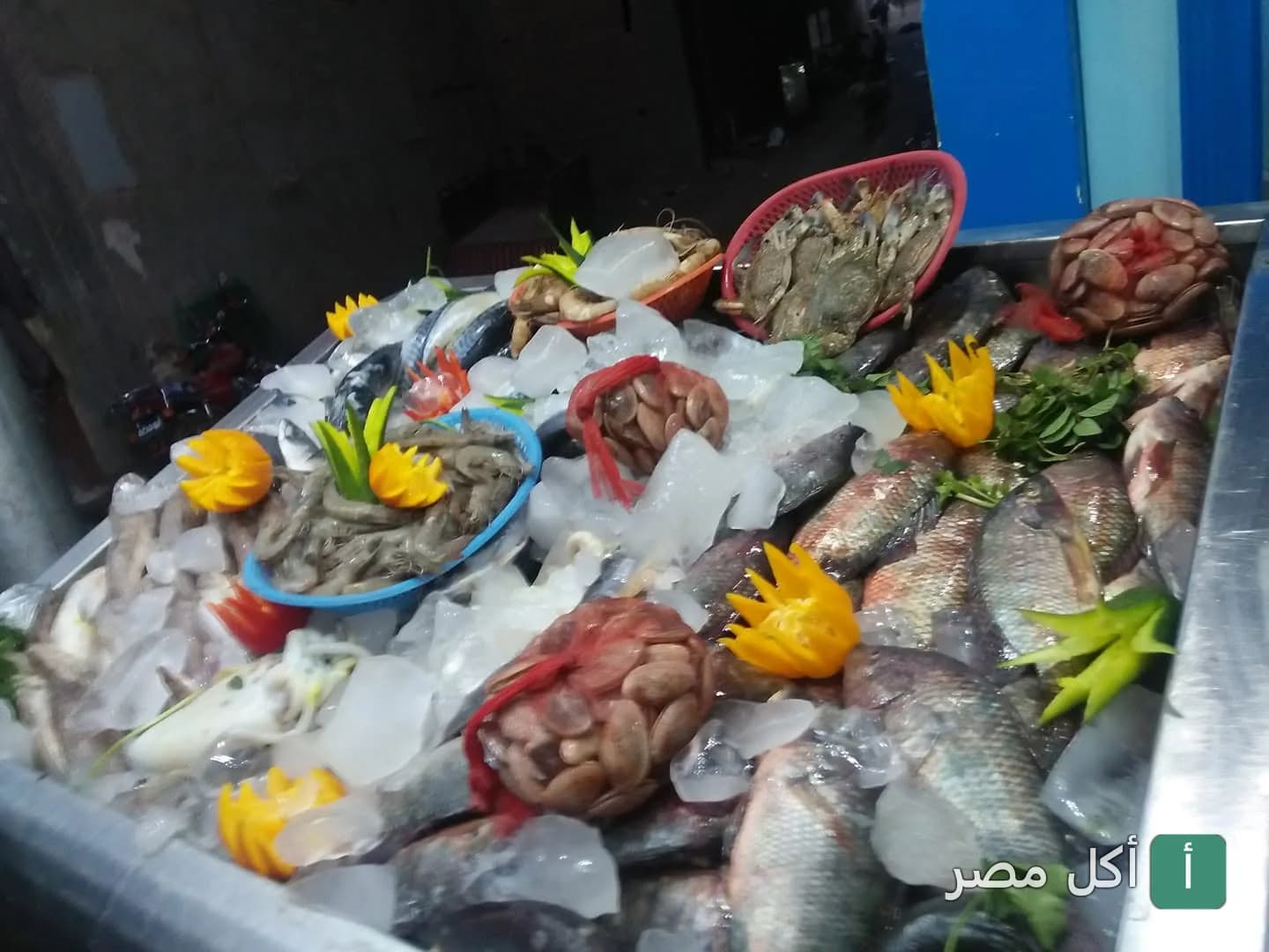 عرض متنوع من الأسماك والمأكولات البحرية الطازجة على الثلج في مطعم مشويات أبواليزيد بإمبابة.