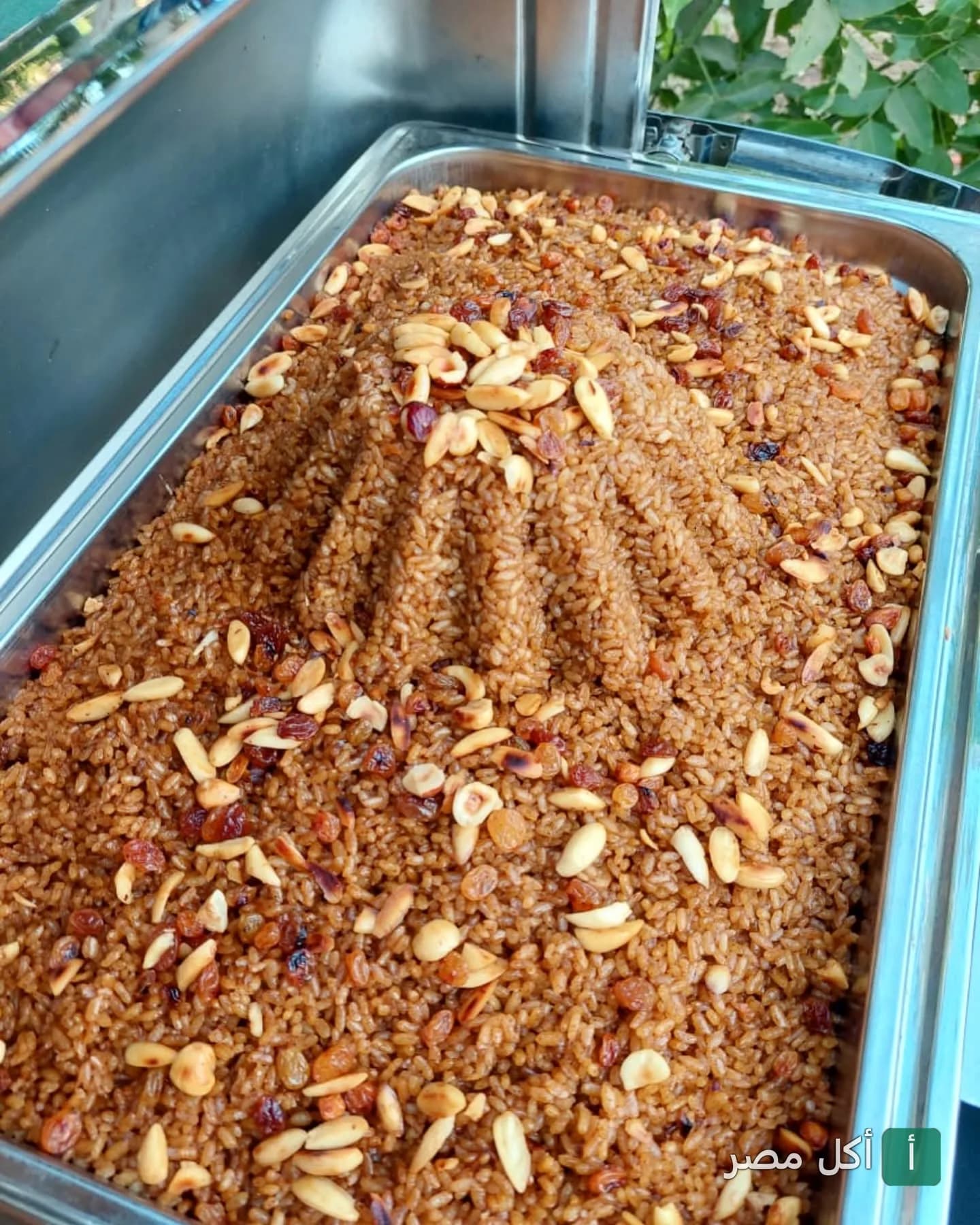 طبق أرز بالخلطة والمكسرات والزبيب في مطعم ديلوكا بالشيخ زايد.