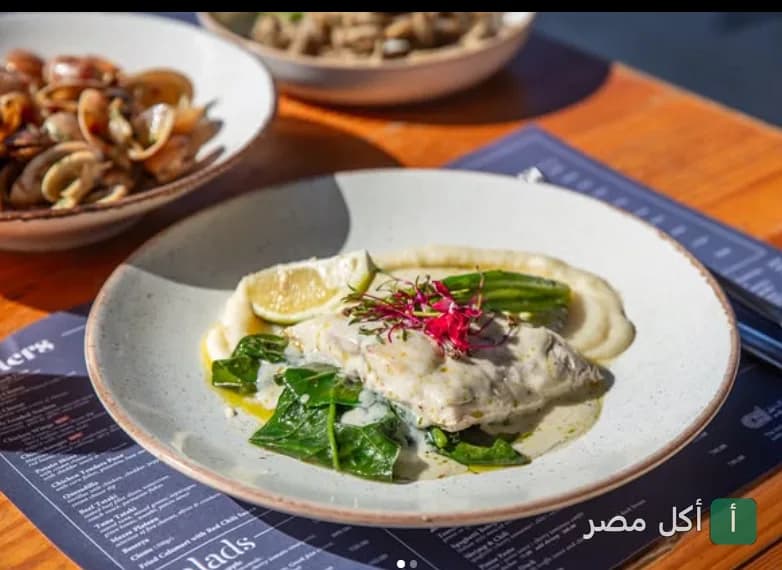 طبق سمك فيليه بصوص كريمي مع خضار سوتيه في مطعم جيجي بأركان بلازا، الشيخ زايد.