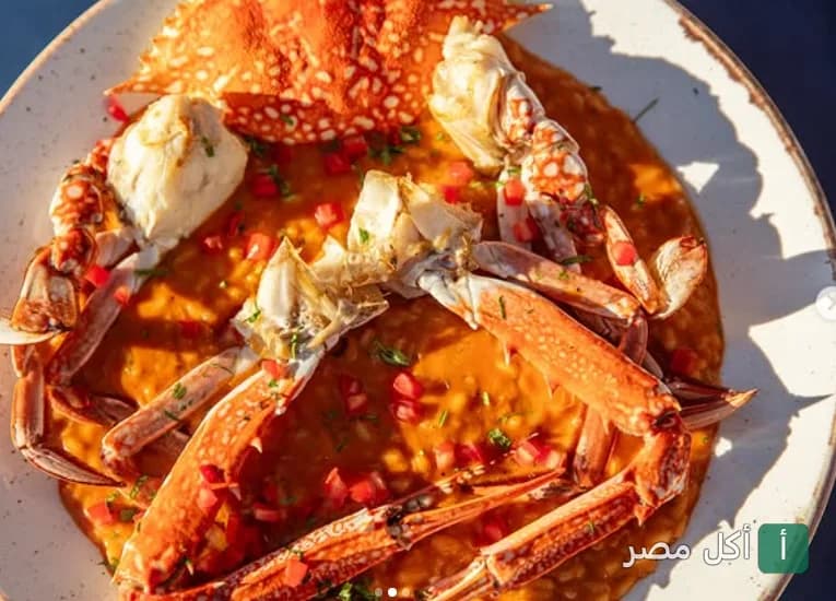 طبق أرز بالصلصة مع كابوريا طازجة في مطعم جيجي بأركان بلازا، الشيخ زايد.