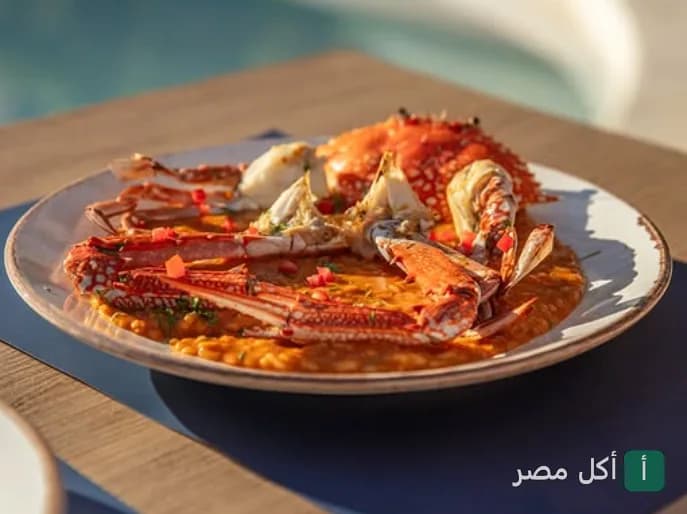 طبق كابوريا مطبوخة بصوص أحمر في مطعم جيجي بأركان بلازا، الشيخ زايد.