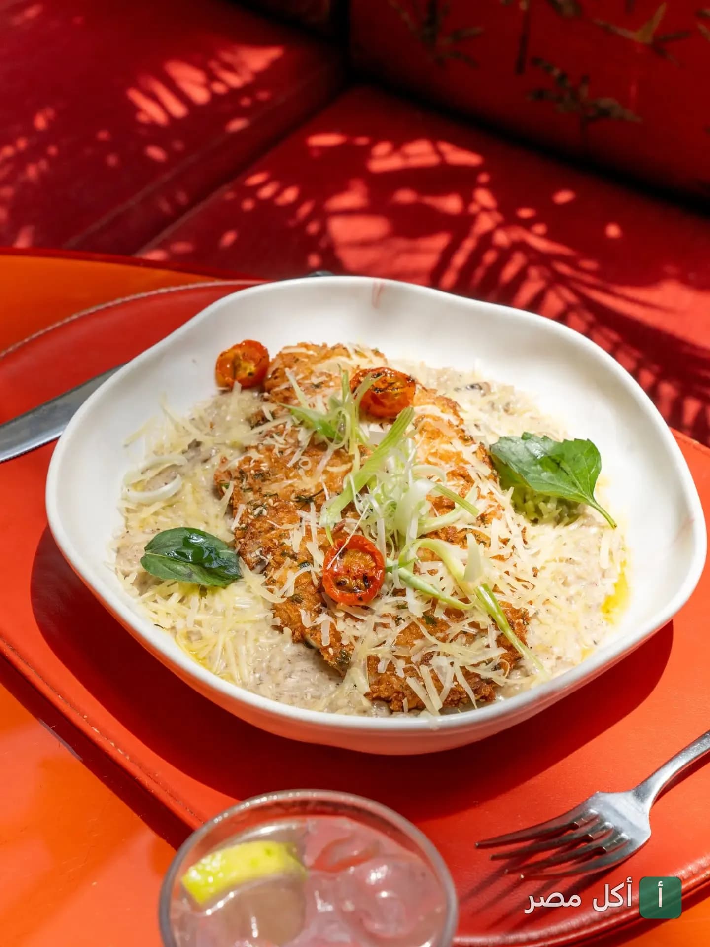 طبق دجاج مقرمش مع صوص كريمي وجبنة في مطعم Maze Roofresto بالشيخ زايد