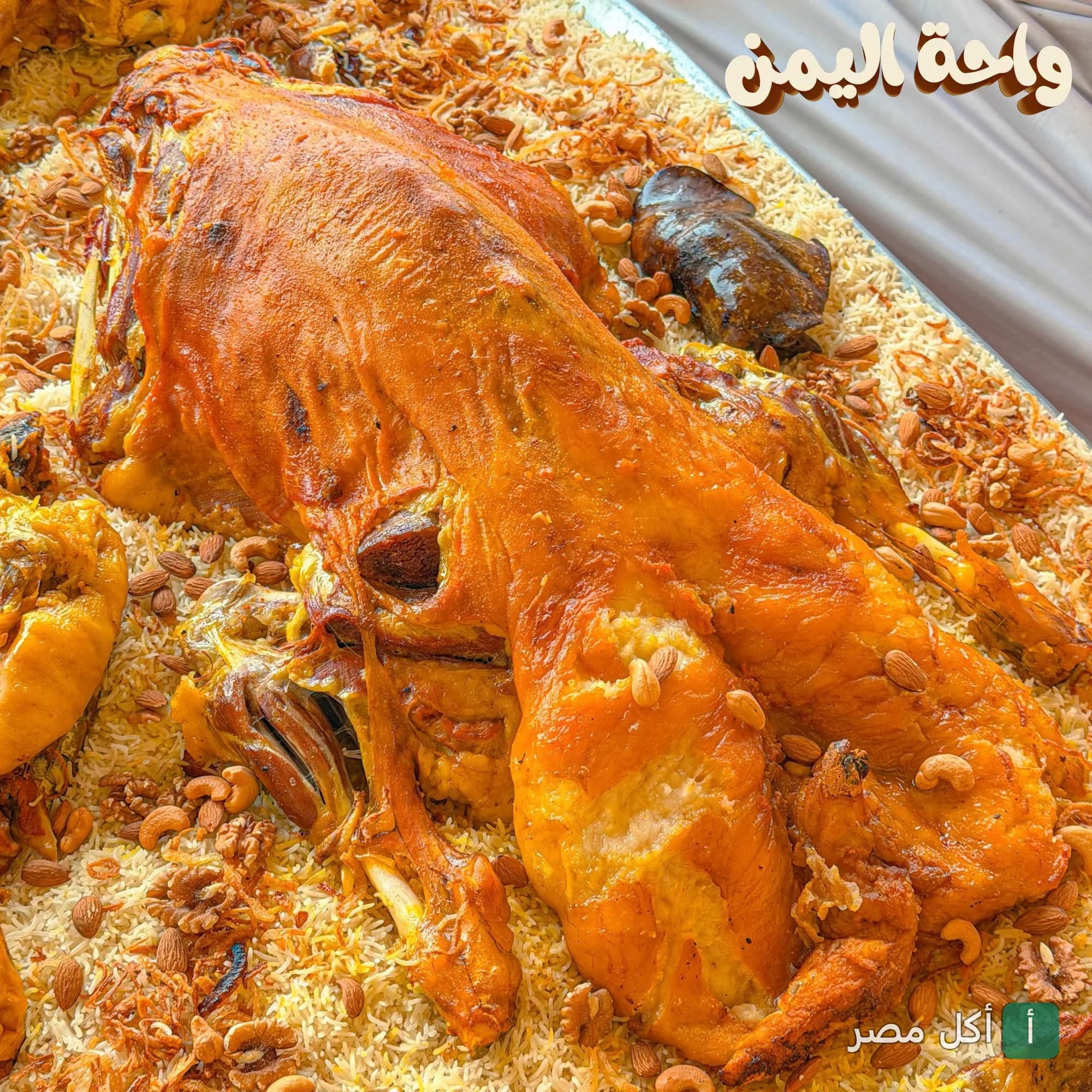 طبق مندي لحم ضاني كبير مزين بالمكسرات في مطعم واحة اليمن بالشيخ زايد.