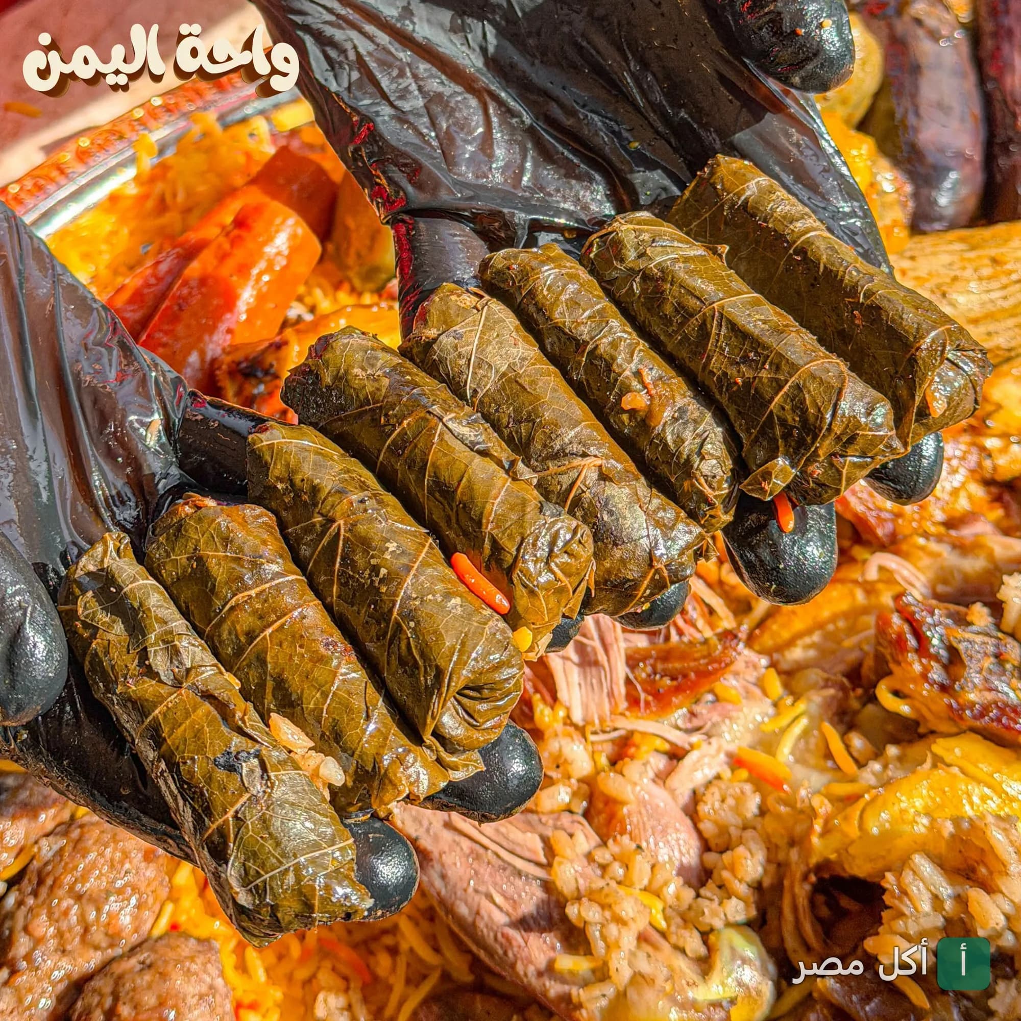 يد ترتدي قفاز أسود تحمل أصابع ورق عنب طازجة فوق طبق أرز ومشاوي في مطعم واحة اليمن بالشيخ زايد.